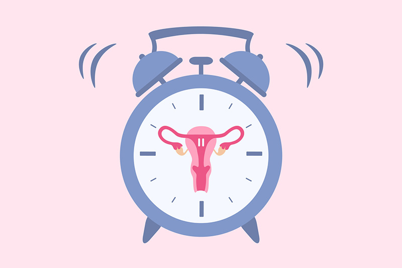 O que é um ciclo menstrual “irregular”?
